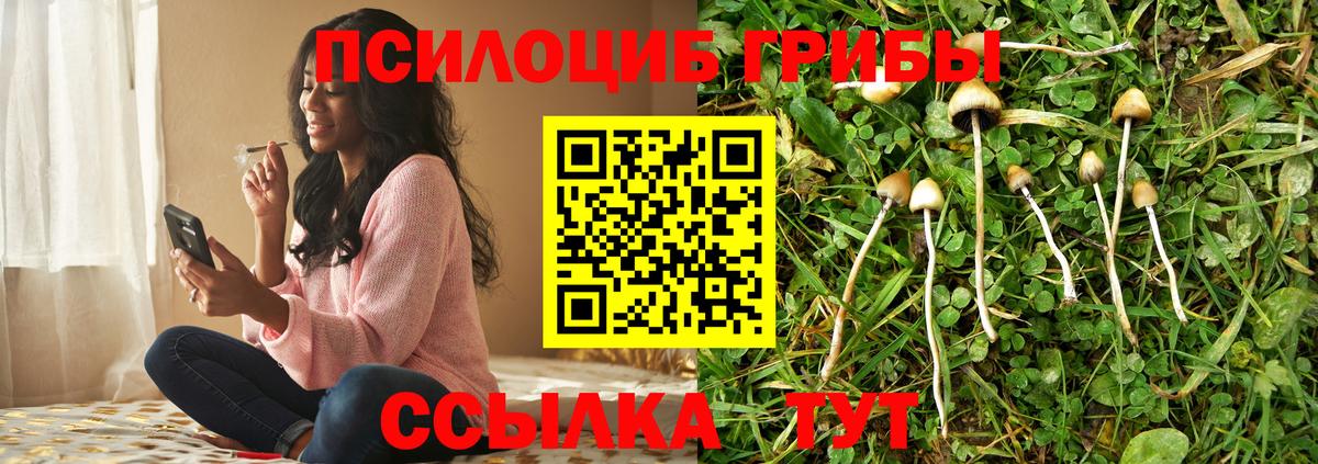 Валуйки  Псилоцибиновые грибы Magic Shrooms  Вход с VPN  Псилоцибиновые грибы Cubensis 